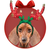 weiner-dog-races-350